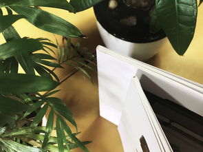 成都百鉑文化 專業(yè)畫(huà)冊(cè)制作與產(chǎn)品宣傳冊(cè)定做服務(wù)